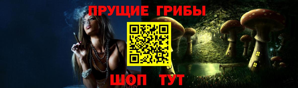 Псилоцибиновые грибы GOLDEN TEACHER  Псилоцибиновые грибы MAGIC MUSHROOMS  Удомля  Вход с VPN 